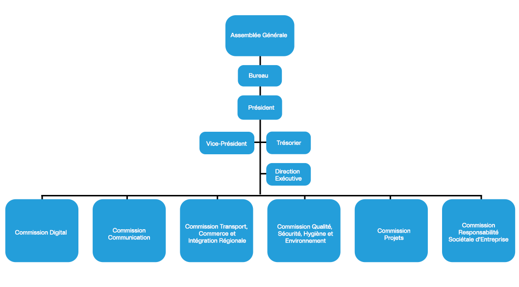 organigramme APCCI no-bg